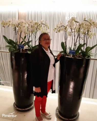 Aparecida do Norte – Cachoeira Paulista - Guaratinguetá – Campos do Jordão – São Paulo