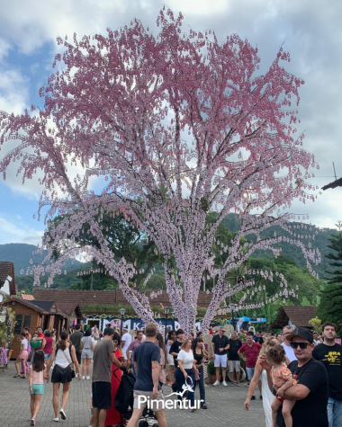 Semana Santa em Balneário Camburiú & Florianópolis