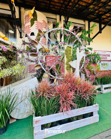 Semana Santa em Balneário Camburiú & Florianópolis