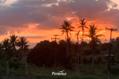 Encante-se com a beleza dos Cânios de Xingó do Velho Chico