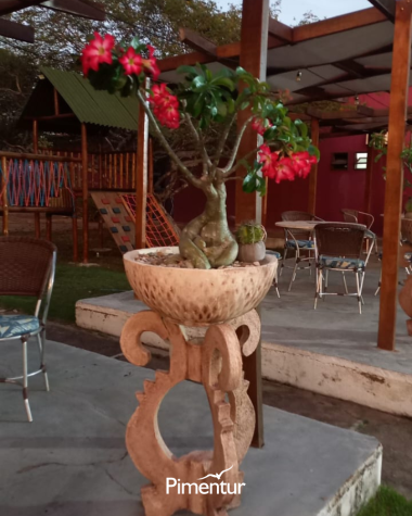 Encante-se com a beleza dos Cânios de Xingó do Velho Chico