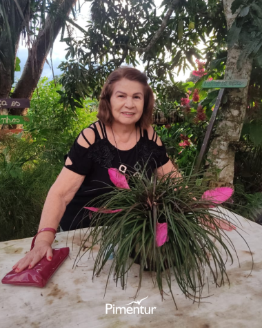 Arraiá da Pimenta em Areia - PB