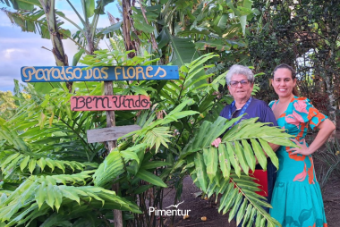 Arraiá da Pimenta em Areia - PB