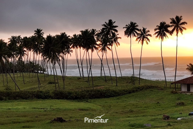 São João no Vivá Porto De Galinhas Resort | PE 