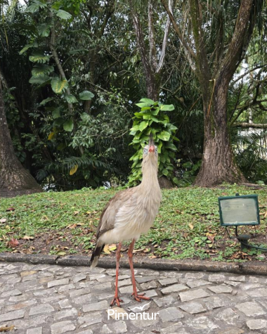 Exposição Imersiva da Capela Sistina em Recife | PE