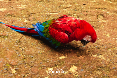 Três Fronteiras, um só encontro. 