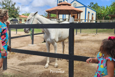 Carnaval em Pernambuco é no Portal de Gravatá | PE 