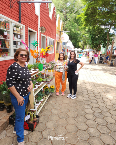 Carnaval em Poços de Caldas 