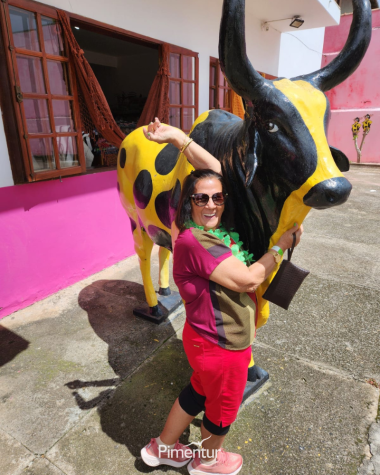 Carnaval em Poços de Caldas 