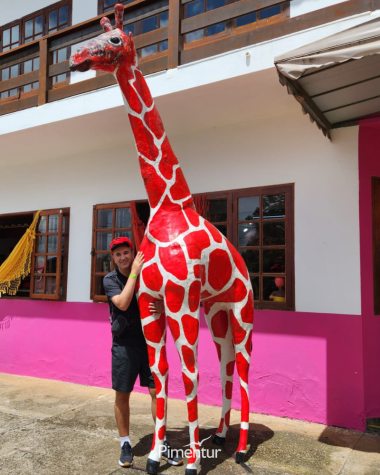 Carnaval em Poços de Caldas 