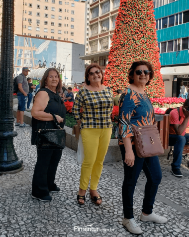 Curitiba e Treze Tílias