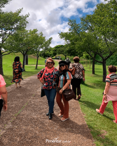 Curitiba e Treze Tílias