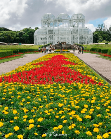Curitiba e Treze Tílias