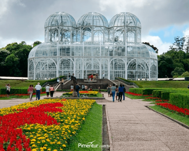 Curitiba e Treze Tílias