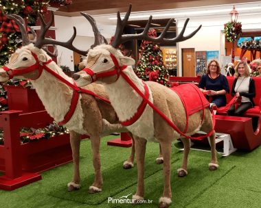 Curitiba e Treze Tílias