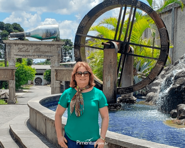 Curitiba e Treze Tílias