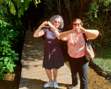 Curitiba e Treze Tílias